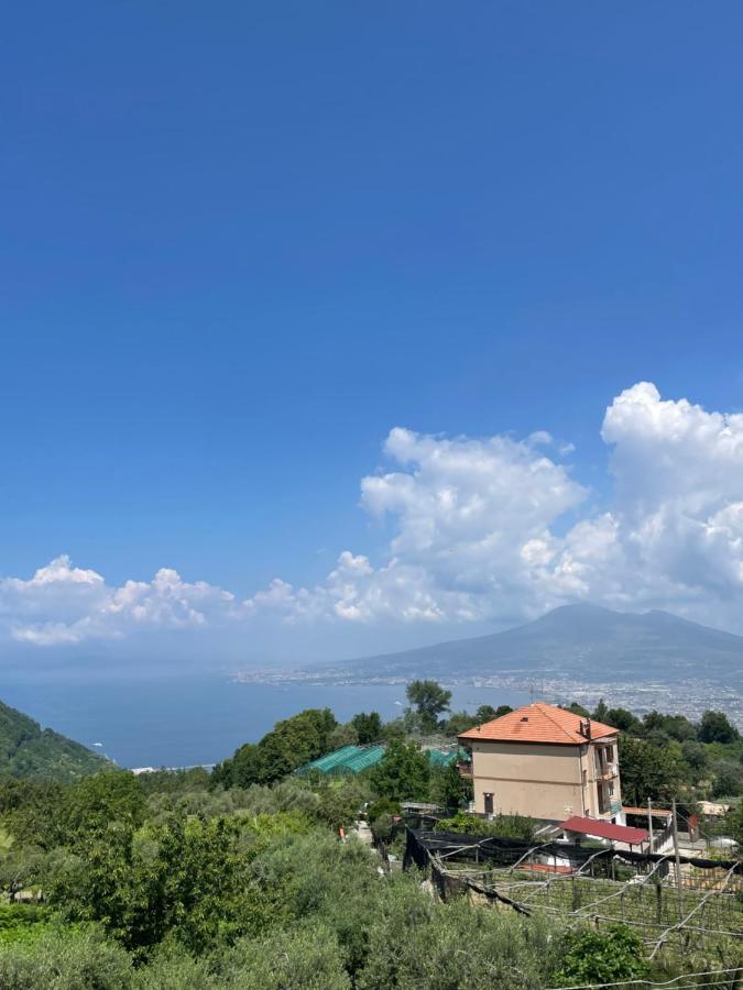 Villa Marilu Pimonte Kültér fotó